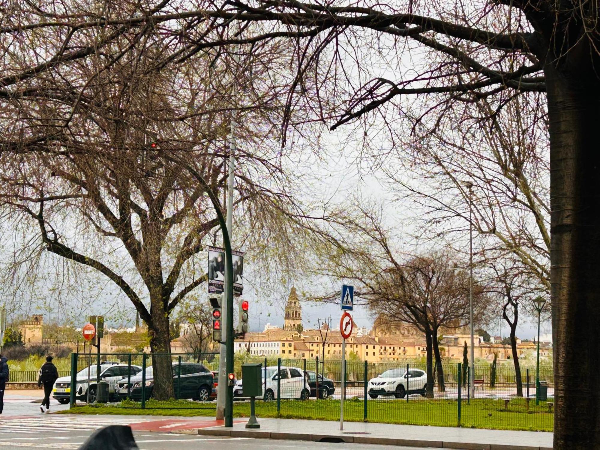 Appartamento Plaza De Andalucia Con Parking Cordova